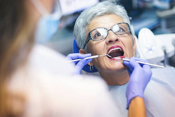 Trusted Peoria Heights, IL  Holistic Dental Services Experts